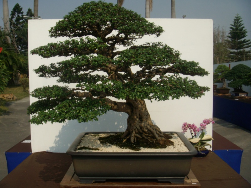 dscn2961.jpg