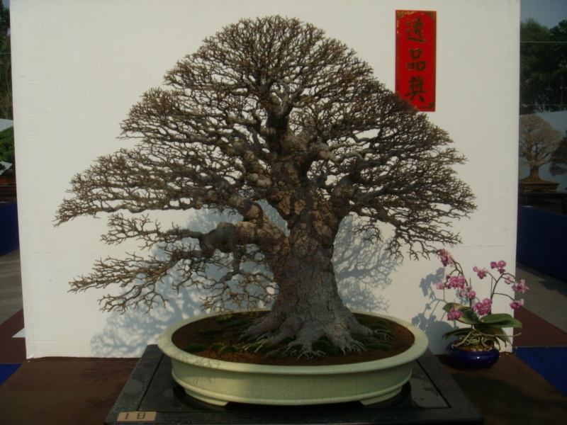 dscn2972.jpg