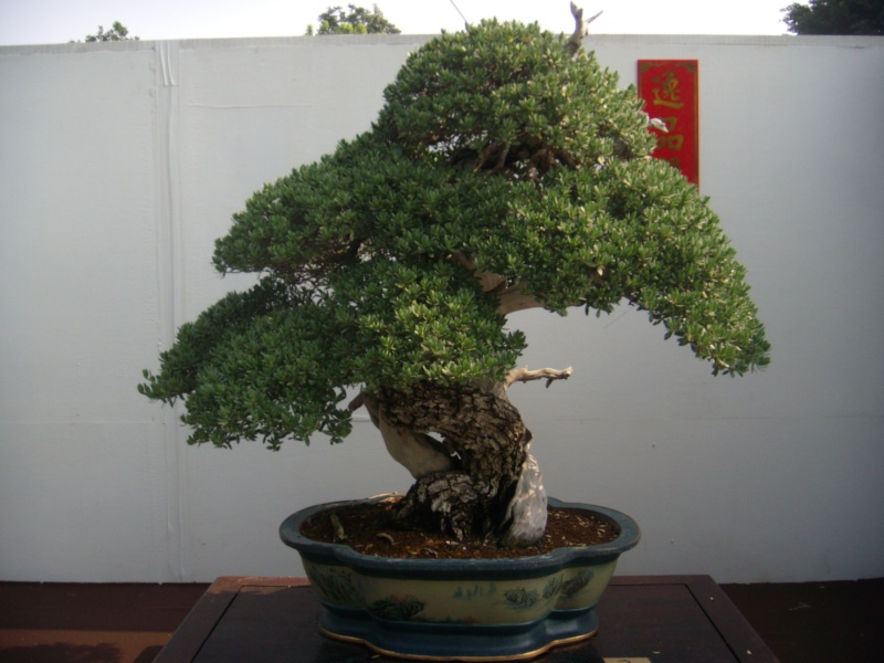 dscn2973.jpg