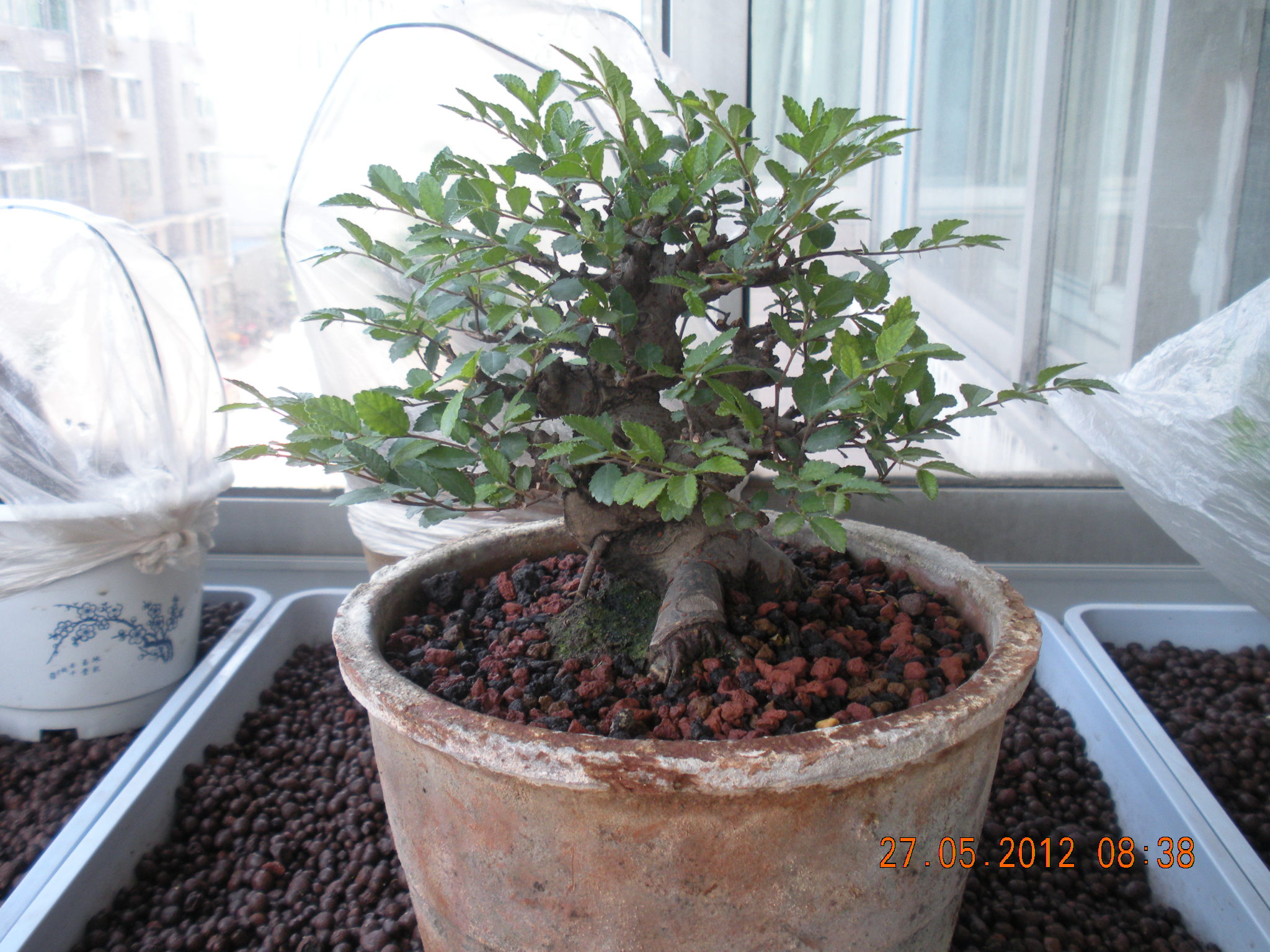 DSCN2936.JPG