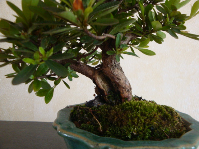 DSC09118.JPG