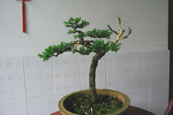 100_1636.jpg