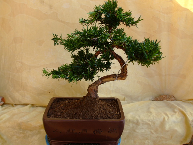 DSCF9087.jpg