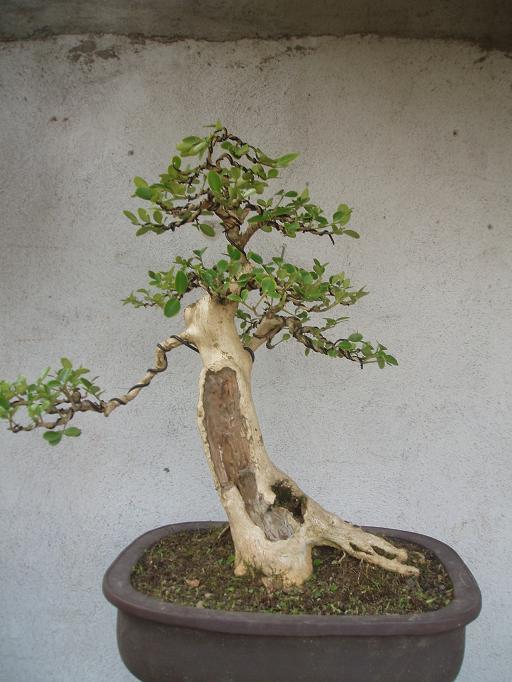 P1010235.JPG