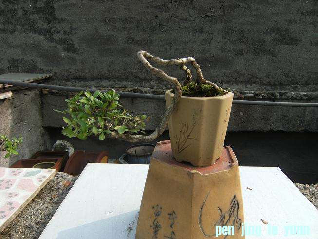 DSCF6477.JPG