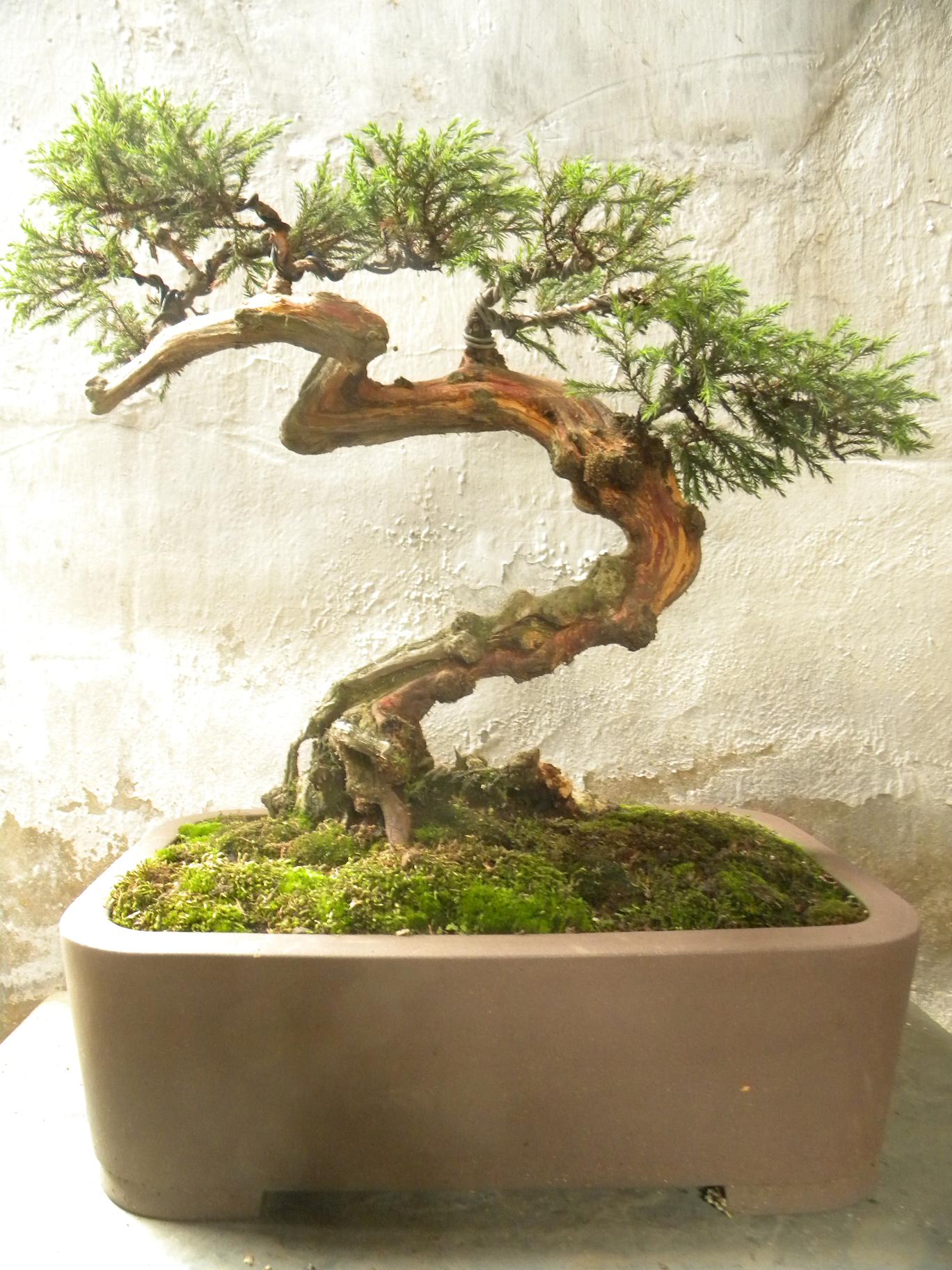 DSCN5419.JPG