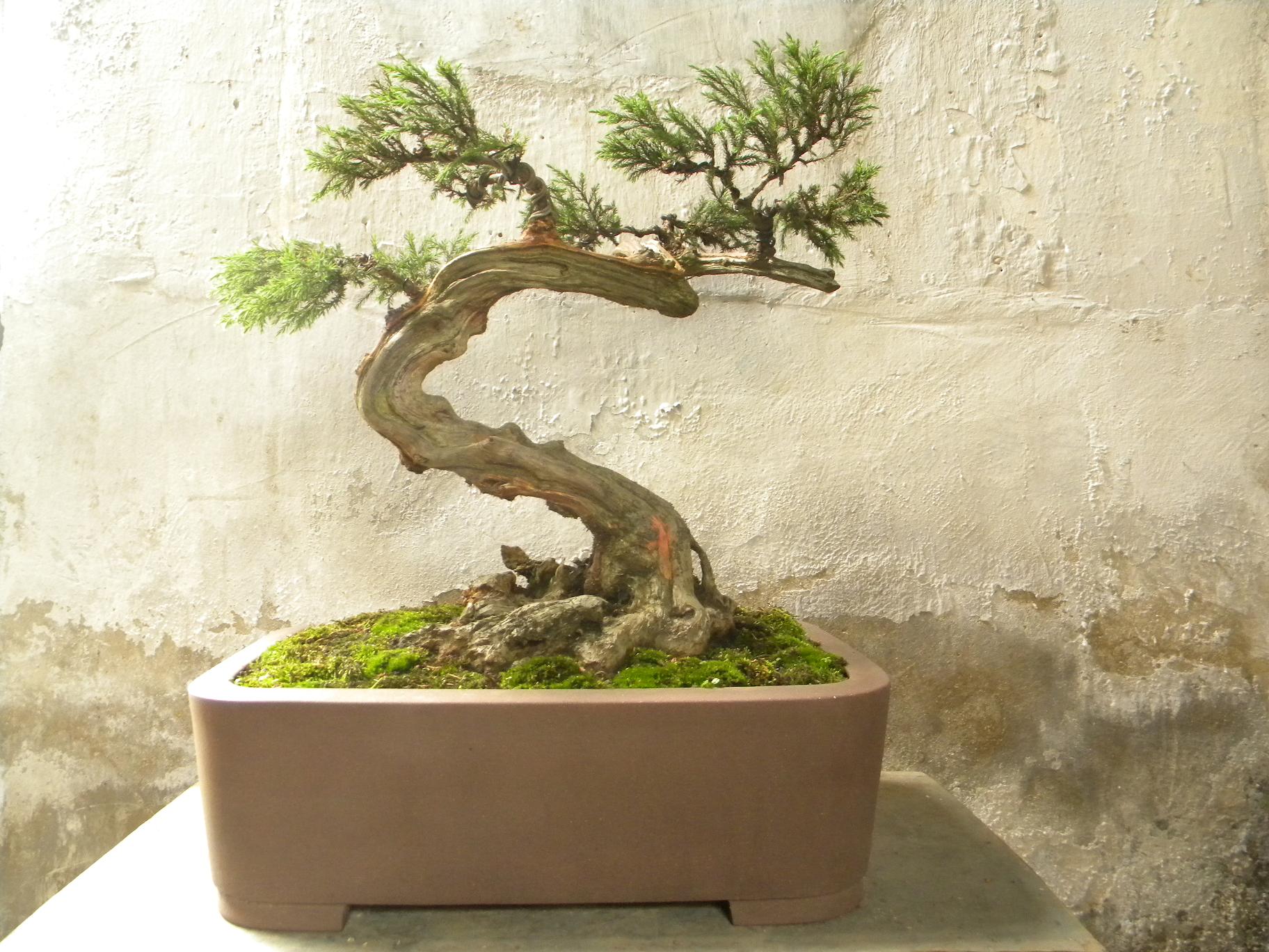 DSCN5411.JPG