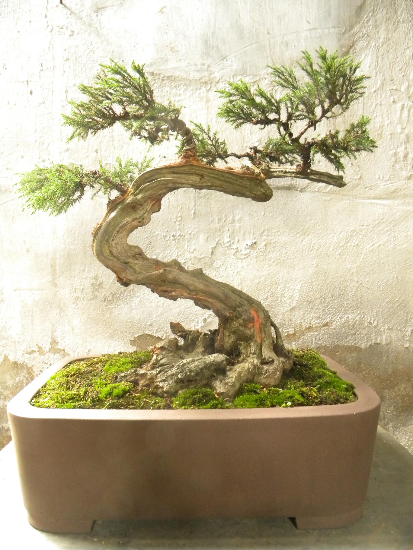 DSCN5412.JPG