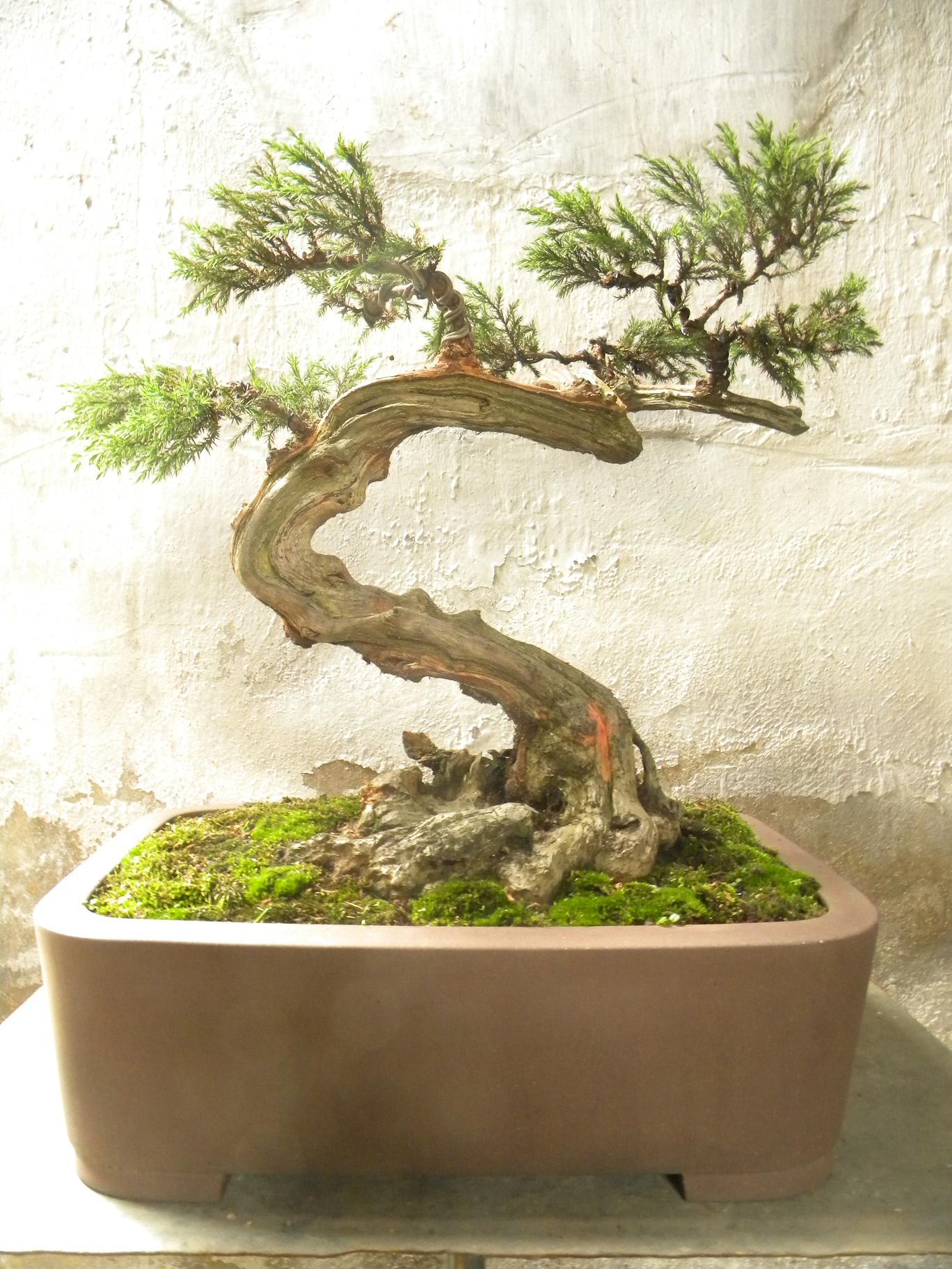DSCN5413.JPG