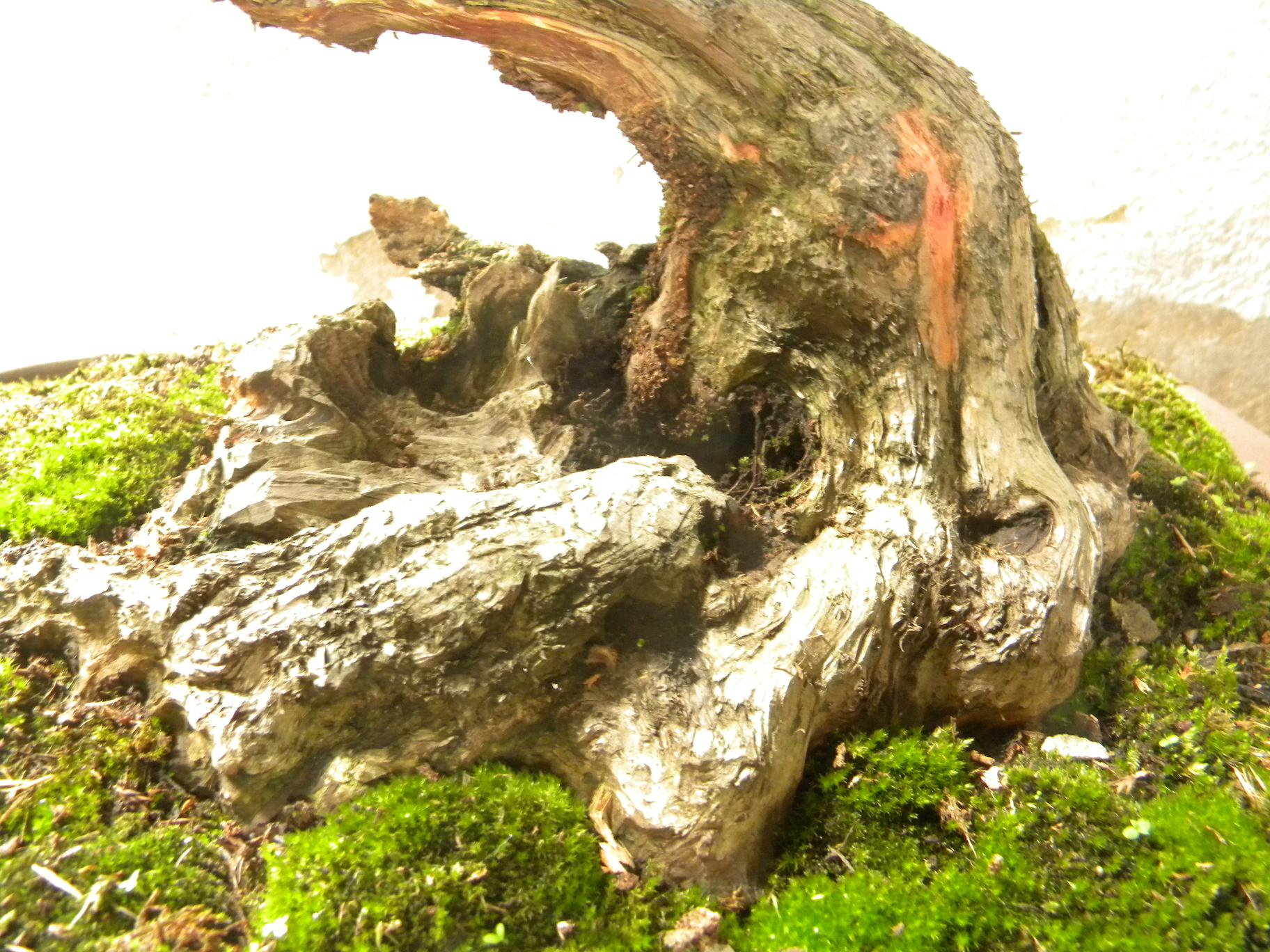 DSCN5414.JPG
