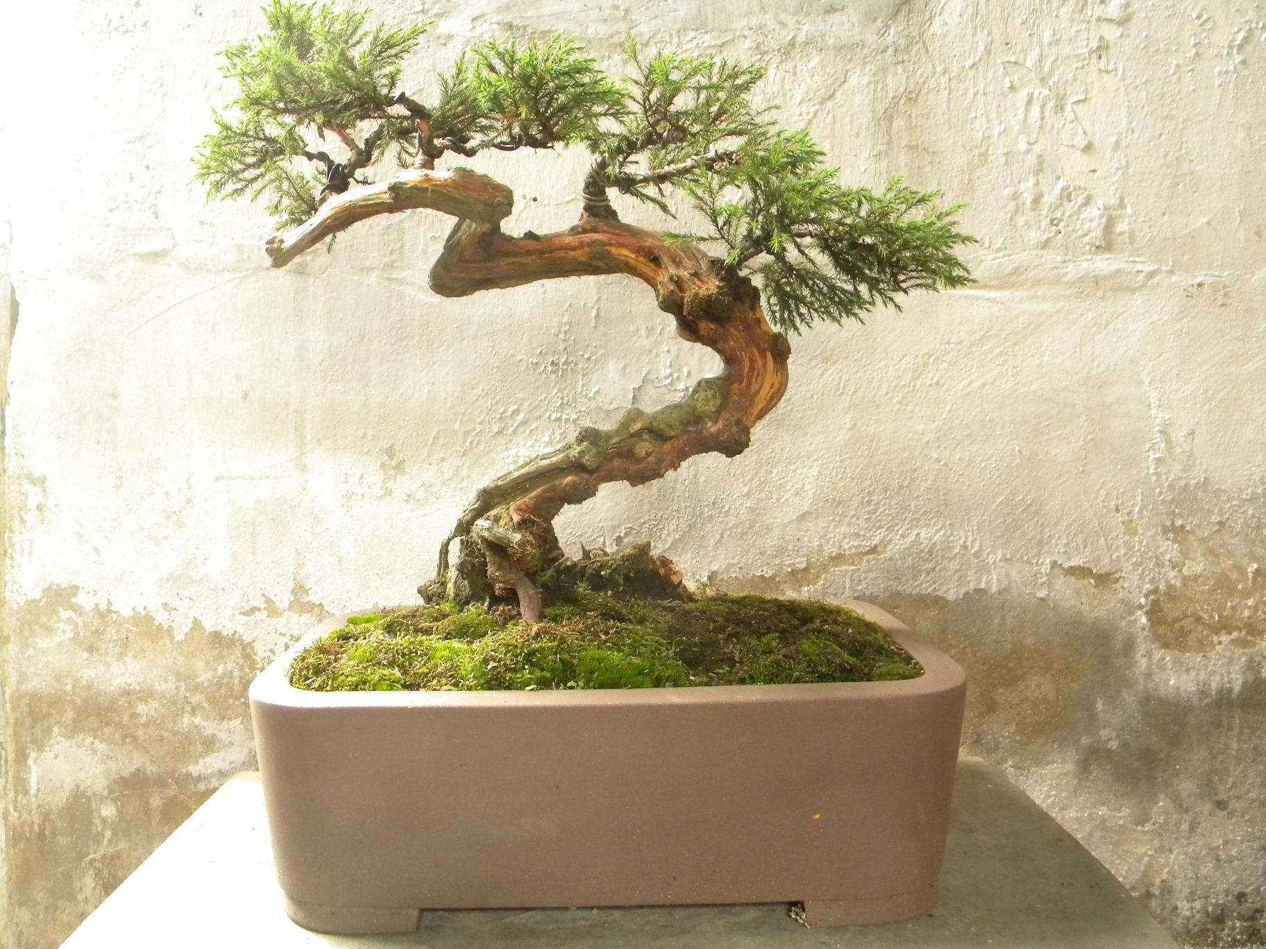 DSCN5417.JPG