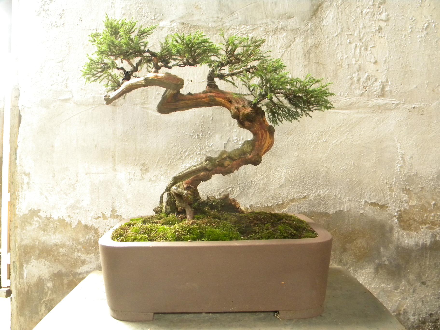 DSCN5418.JPG