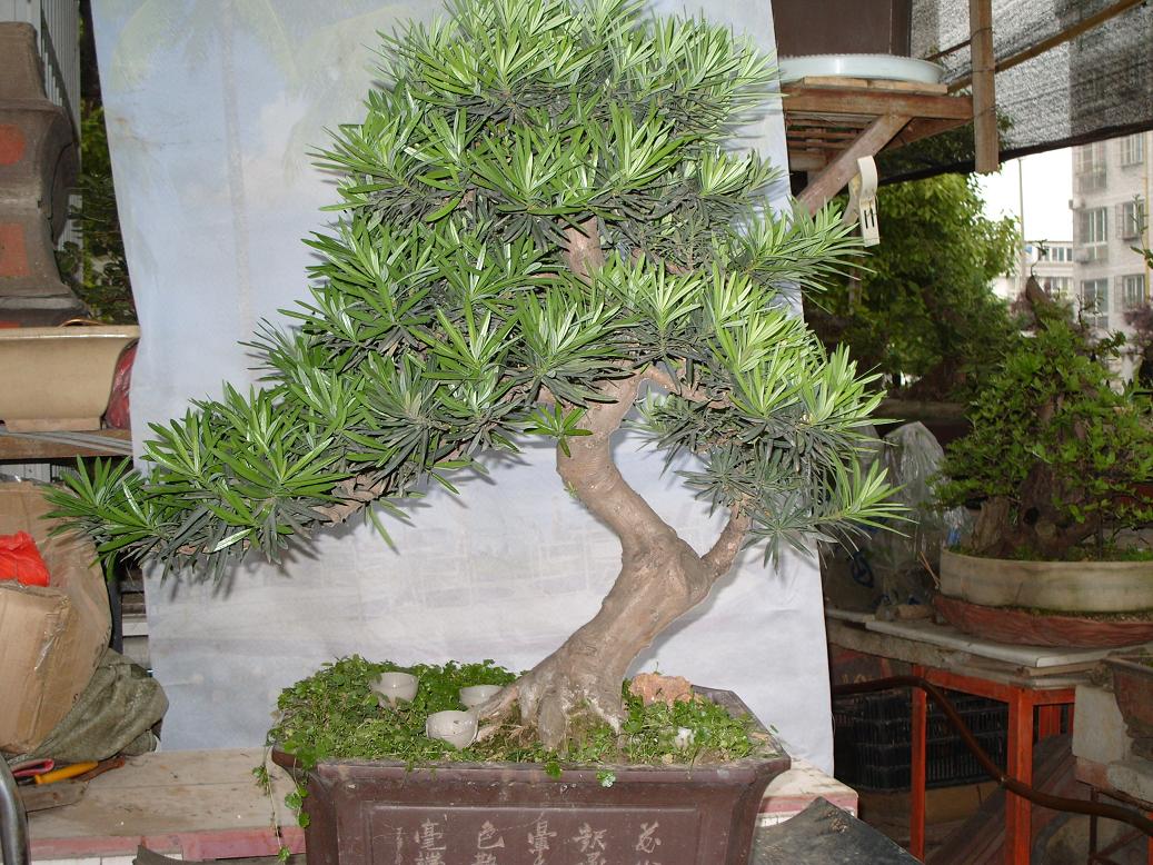 S1051071.JPG