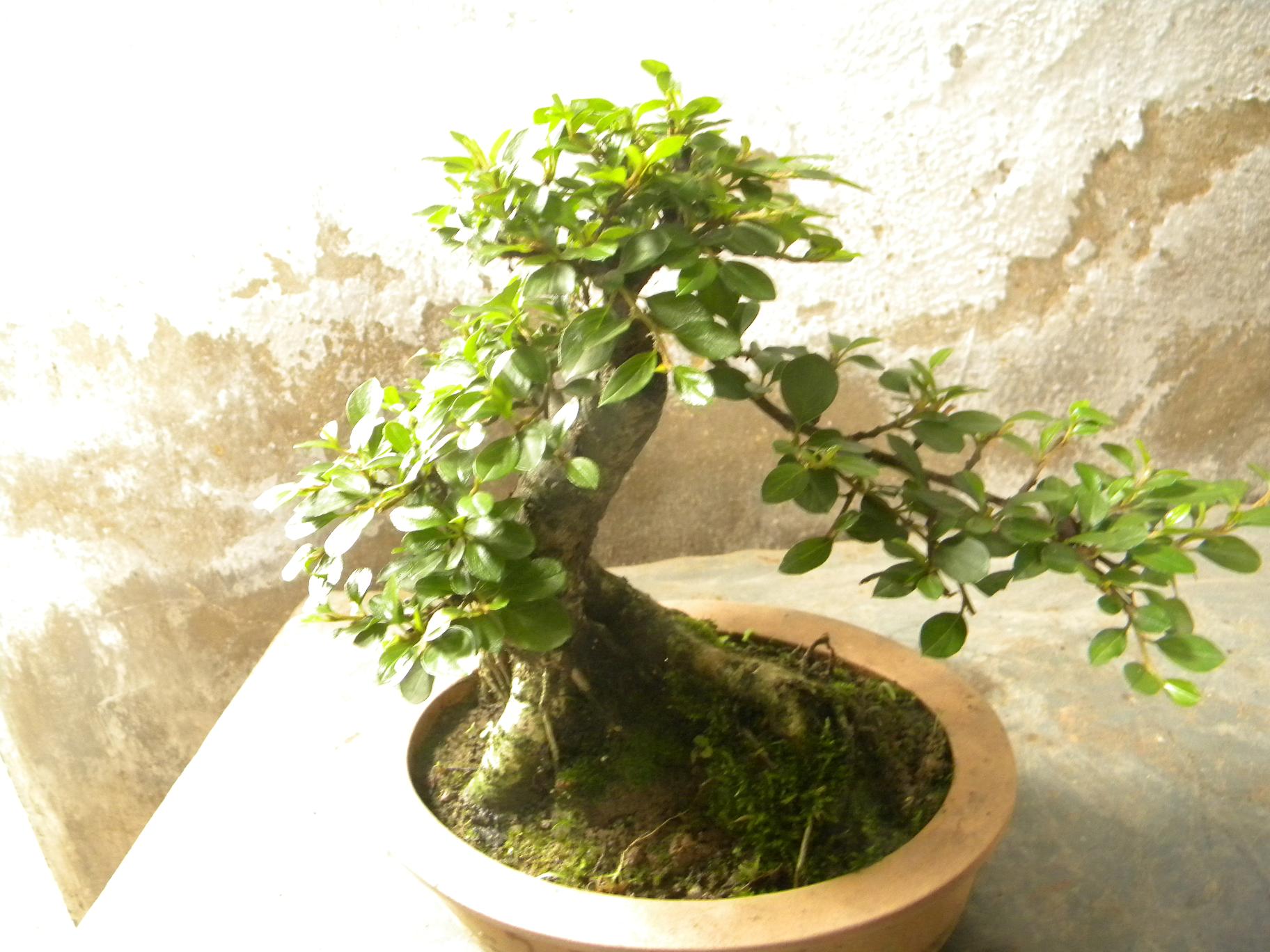 DSCN5528.JPG