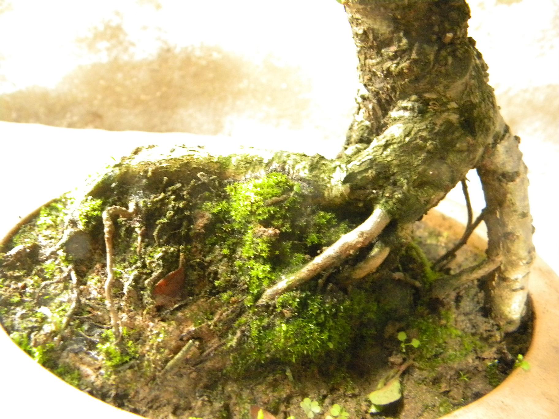 DSCN5524.JPG