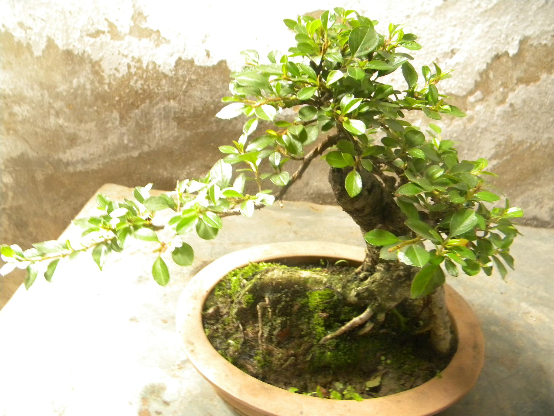 DSCN5525.JPG