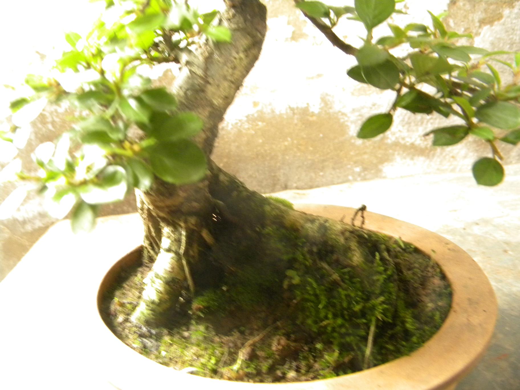DSCN5527.JPG