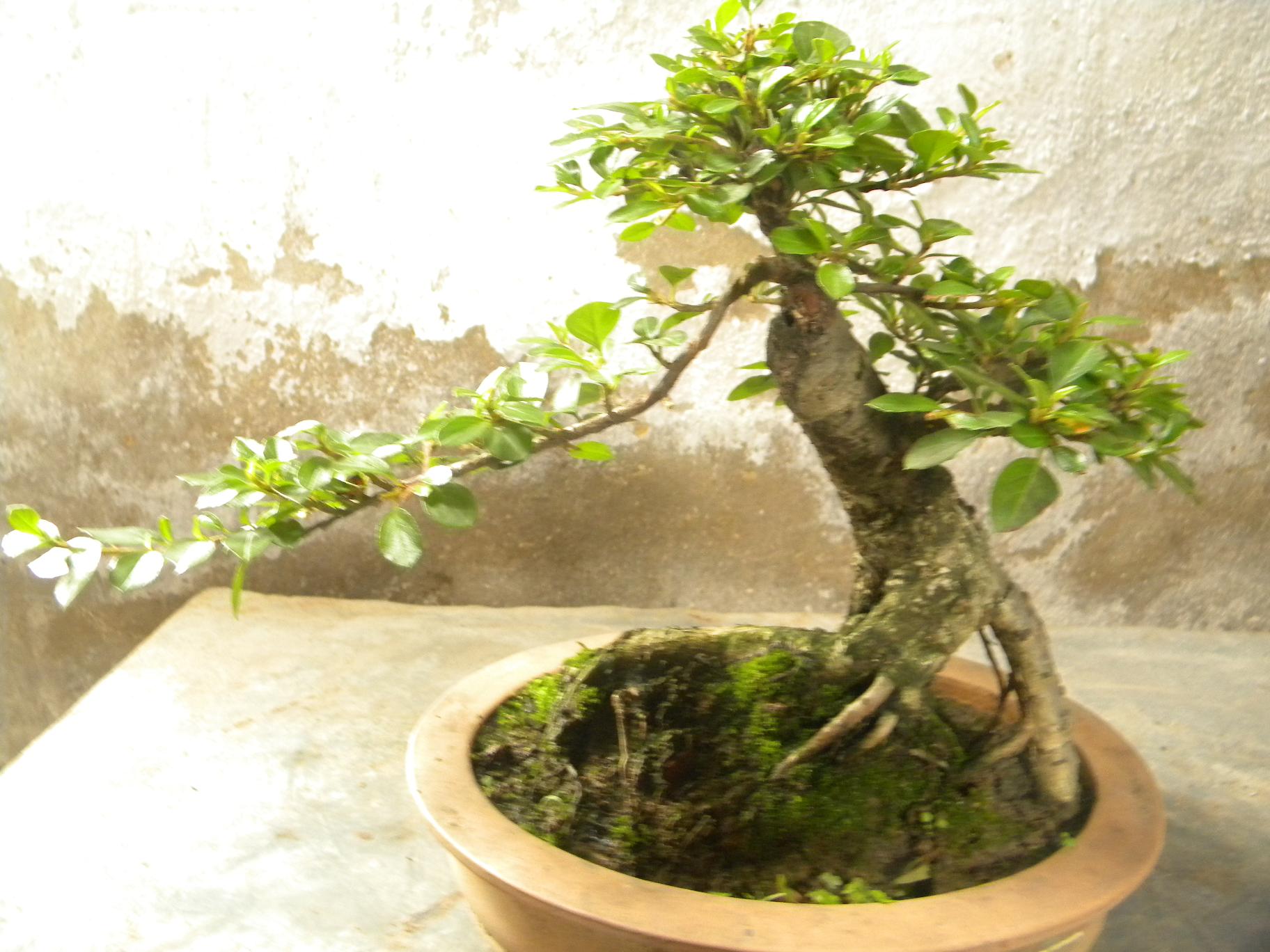 DSCN5523.JPG