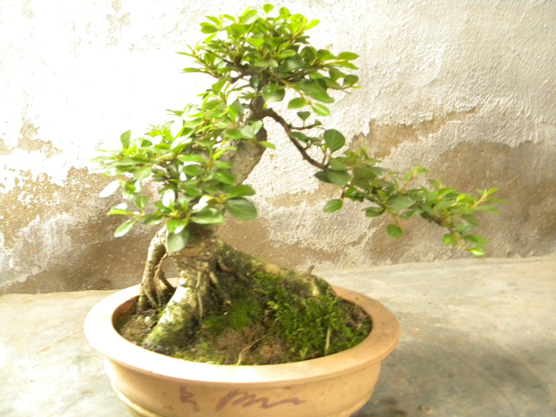 DSCN5526.JPG