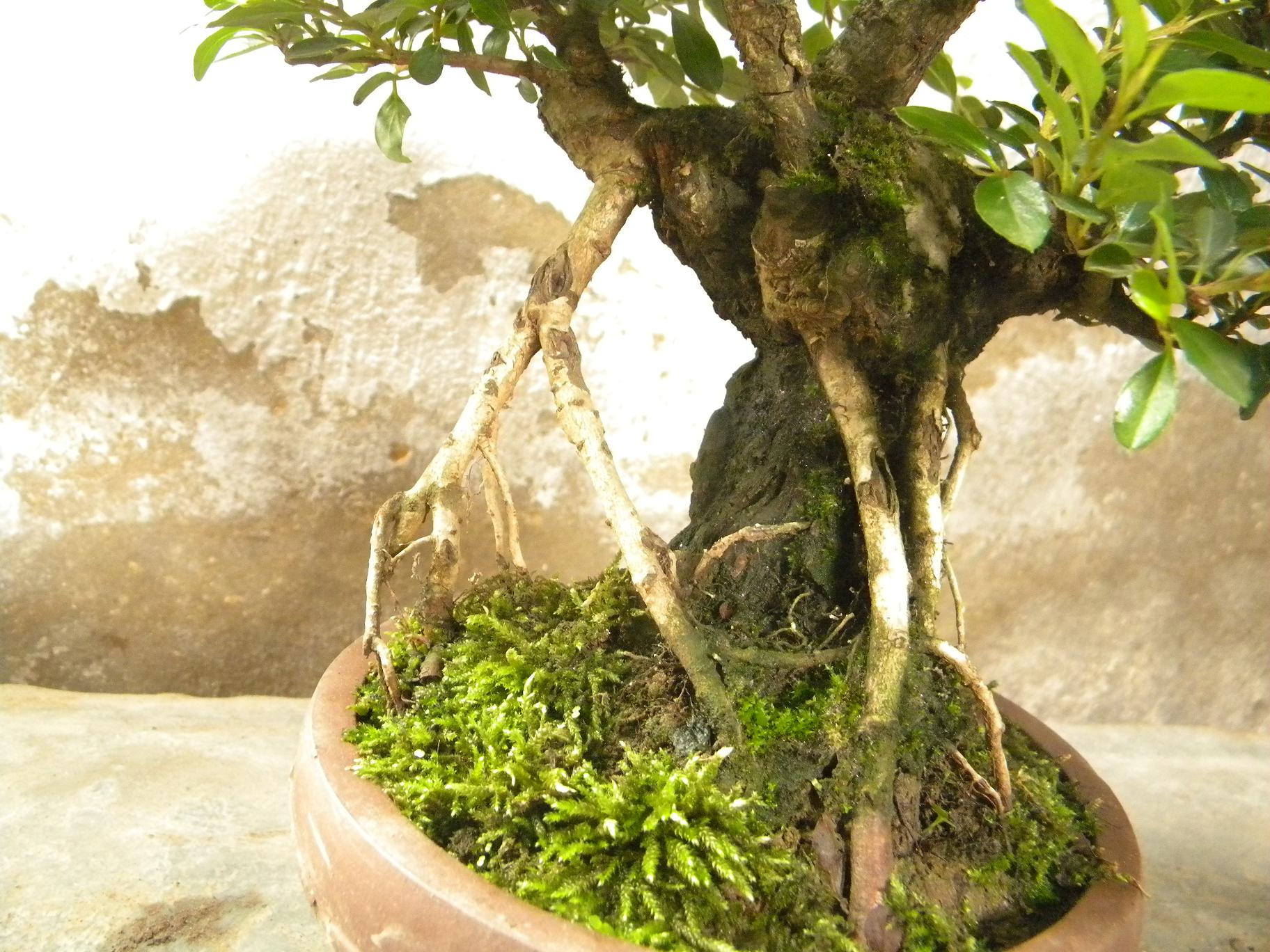 DSCN5541.JPG