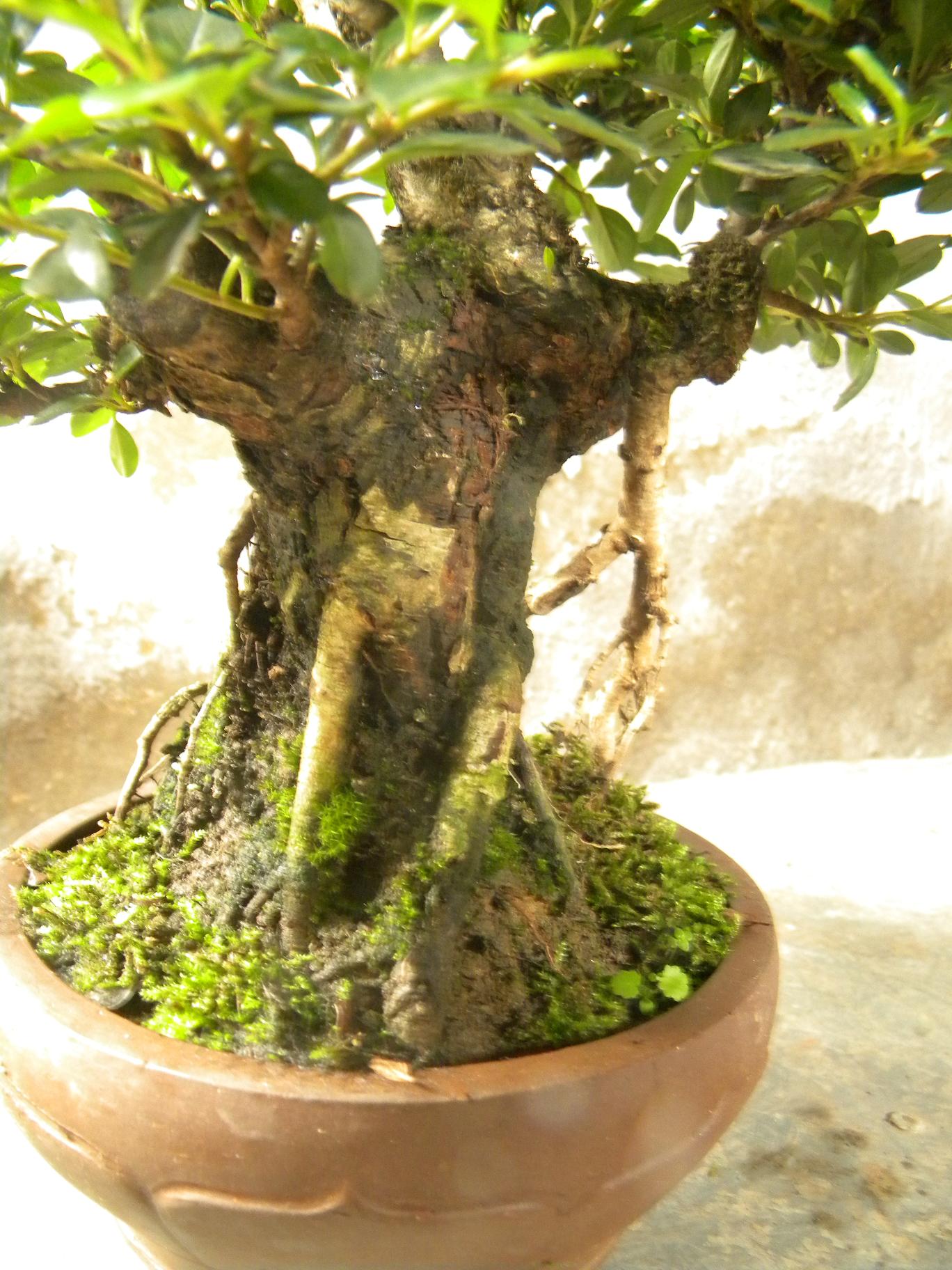 DSCN5534.JPG
