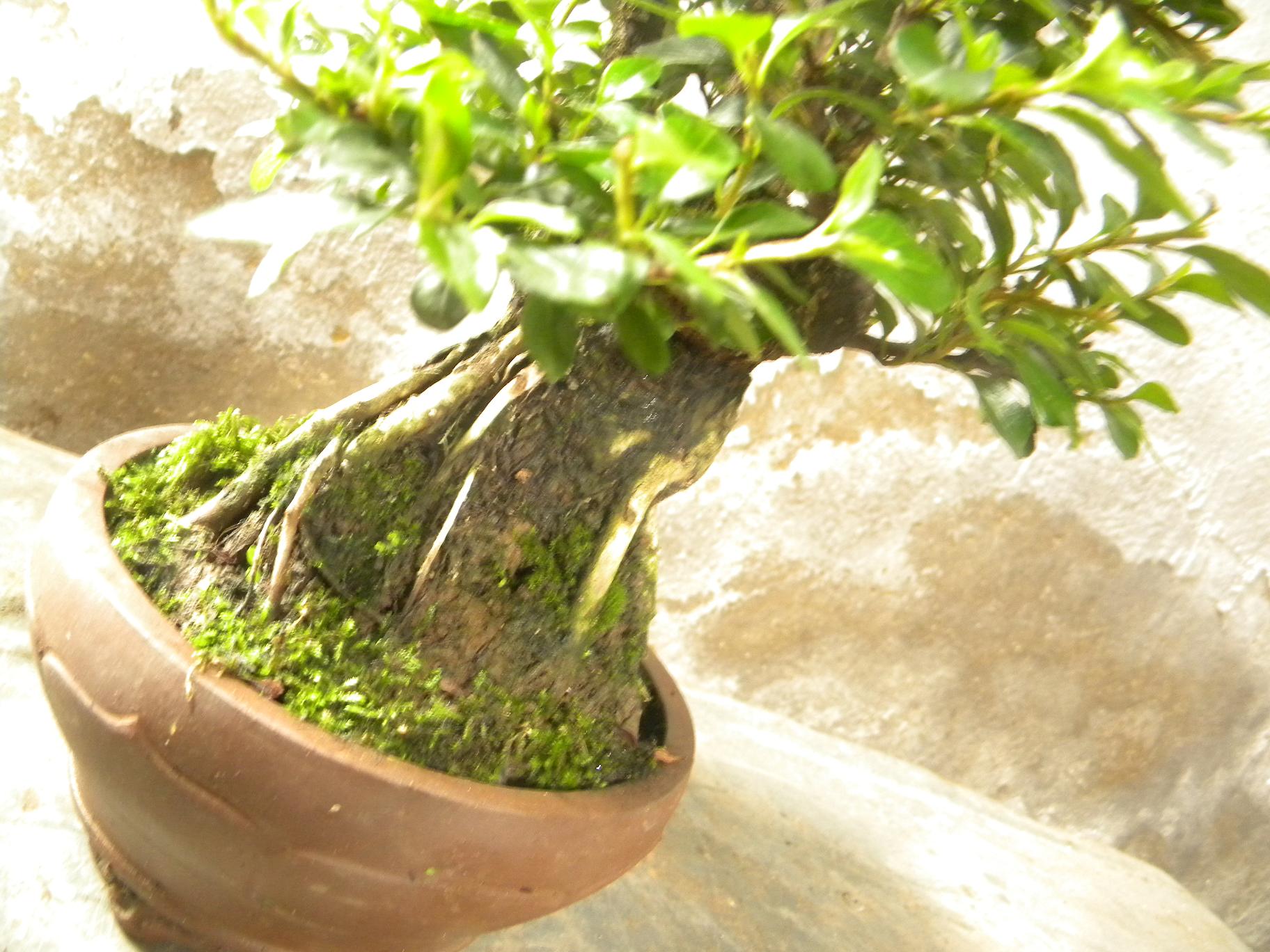 DSCN5536.JPG