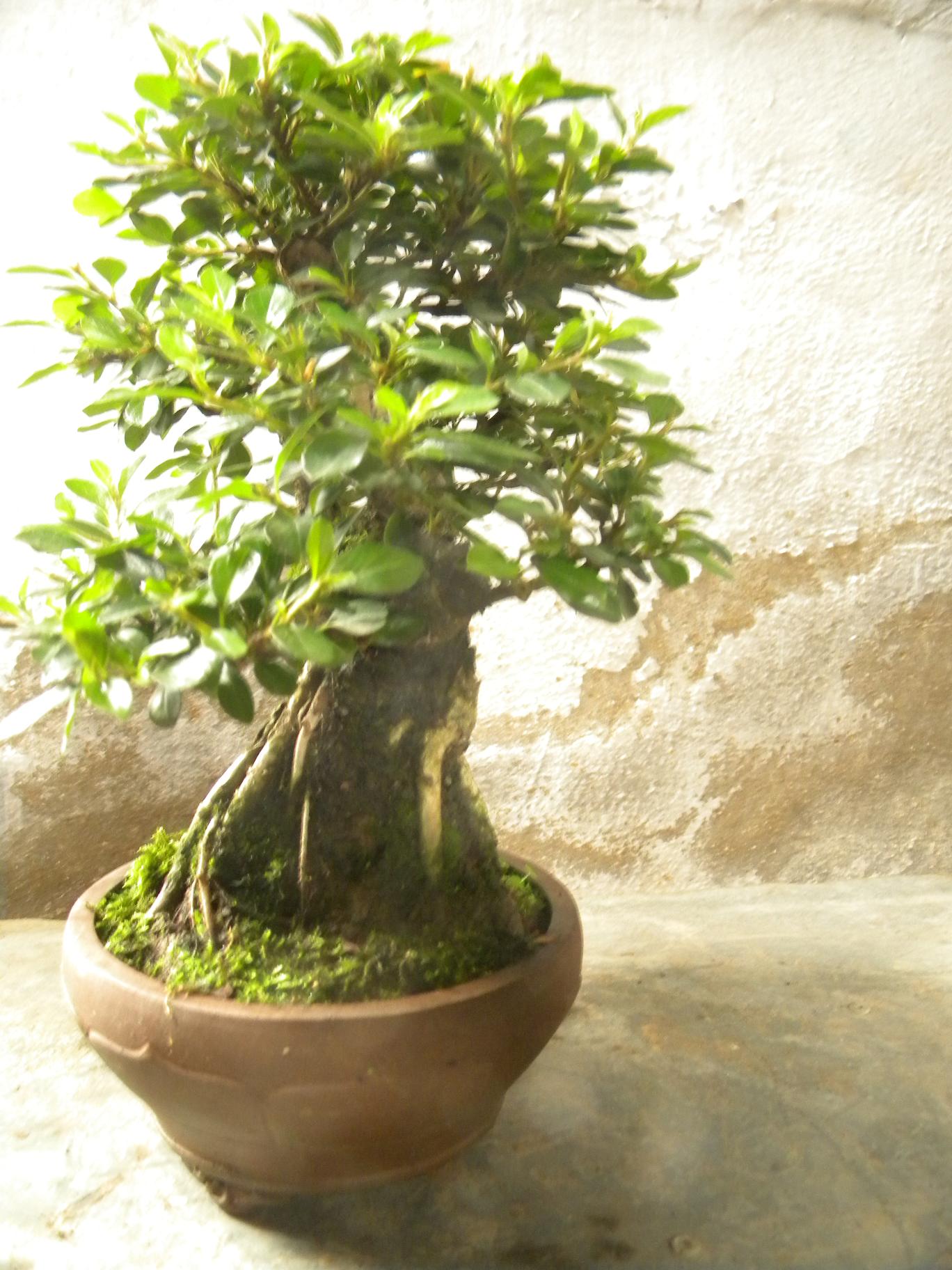 DSCN5537.JPG
