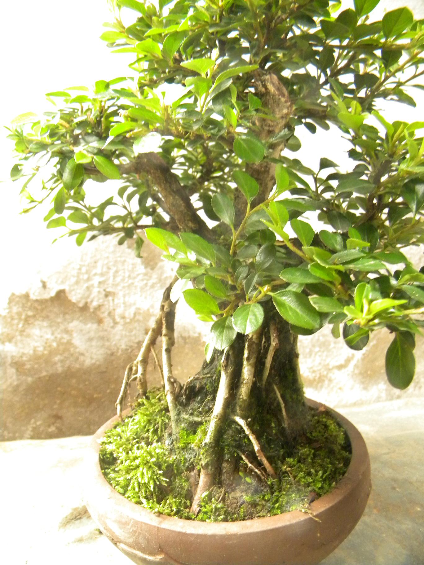 DSCN5539.JPG