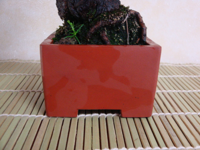 DSC08943.JPG
