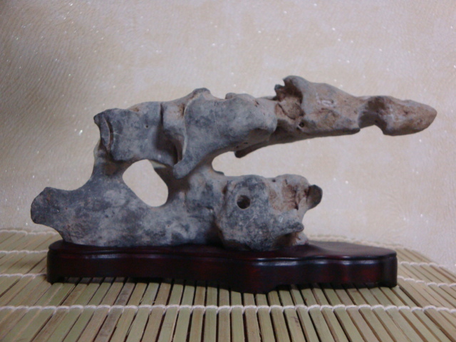 DSC09022.JPG