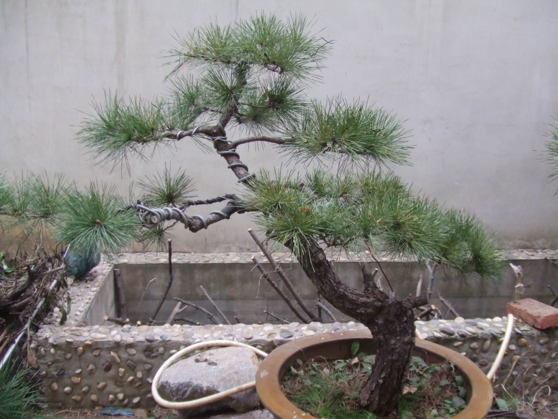 С DSCF8391.JPG