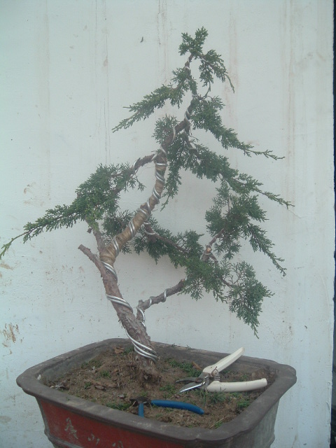 DSCF0688.JPG