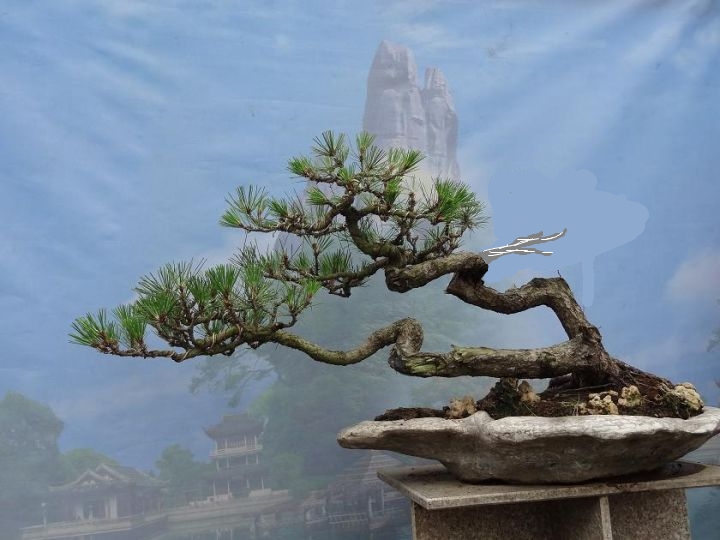 DSC01200_JPG_thumb_conew2.jpg