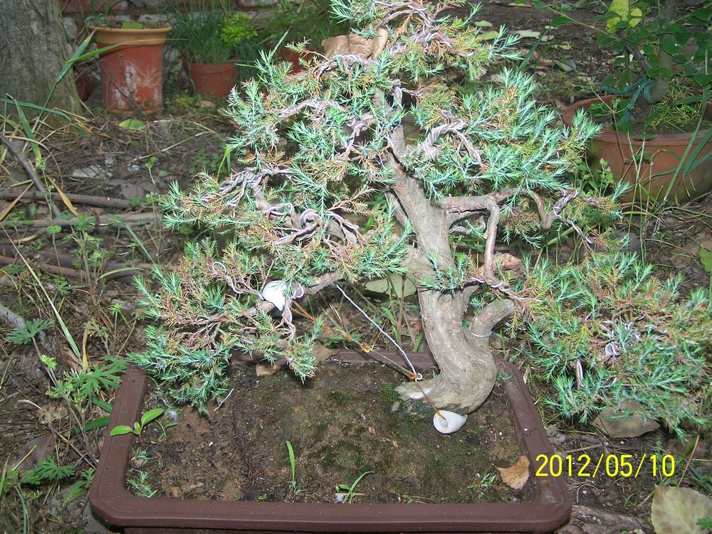 Ƭ 90316.jpg