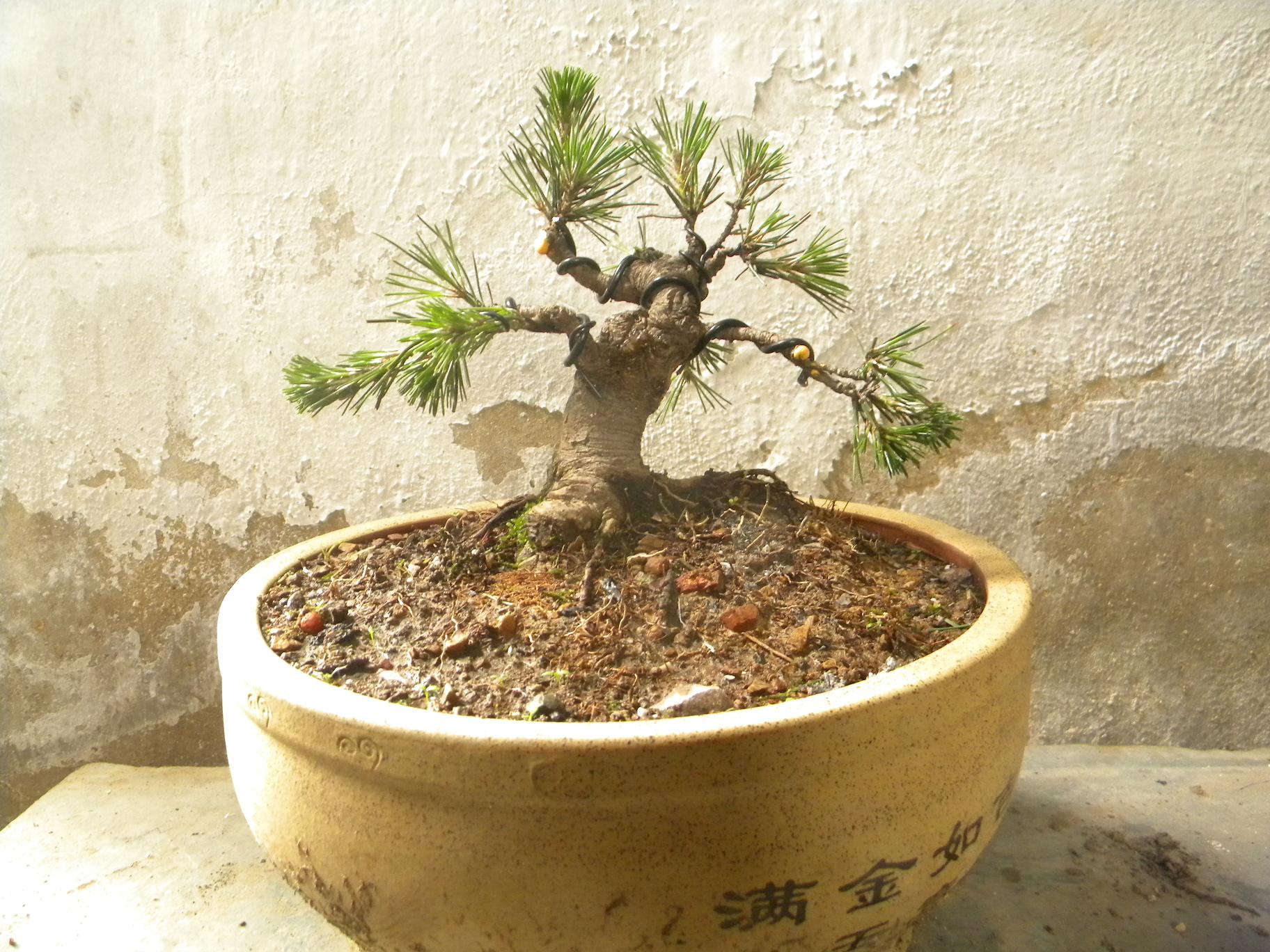 DSCN5449.JPG