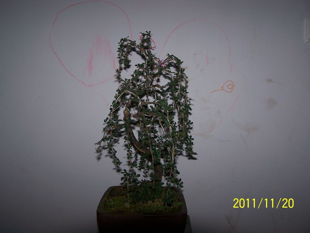 100_4297.jpg