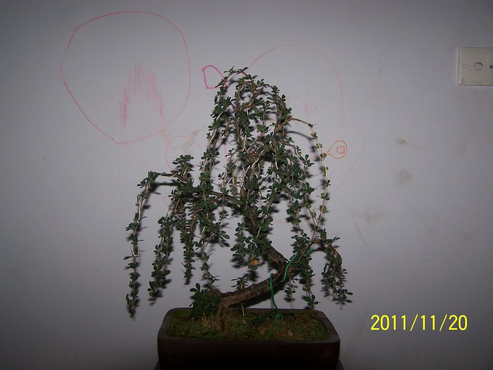 100_4298.jpg