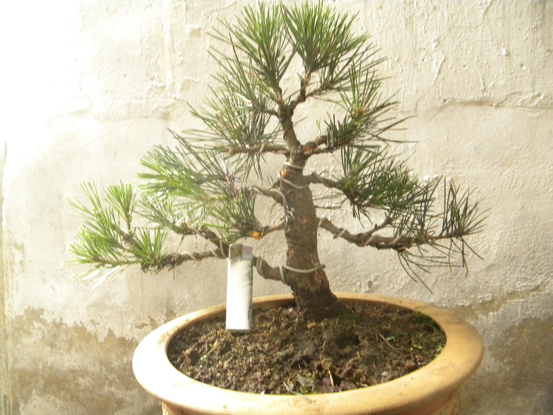 DSCN5472.JPG