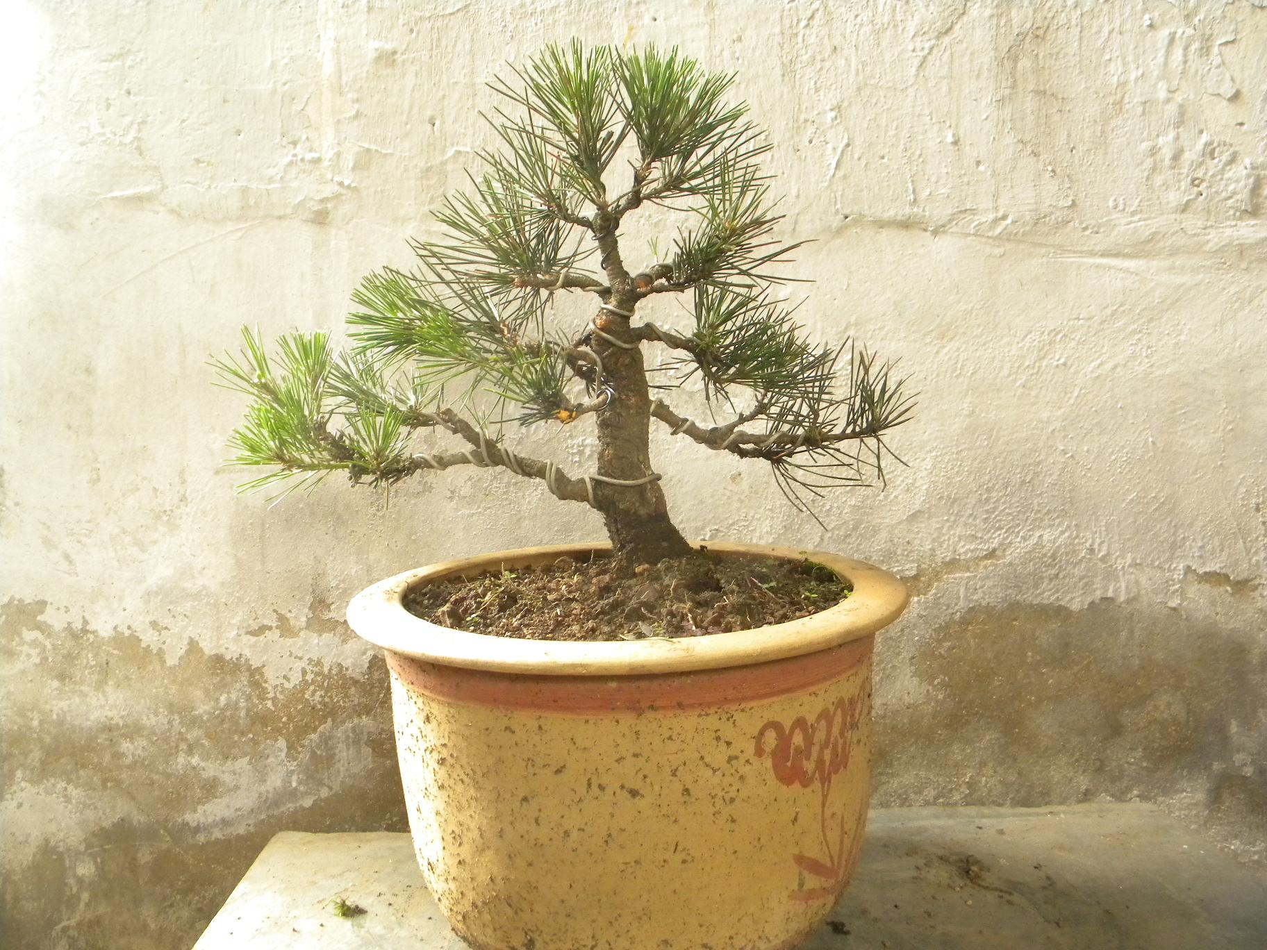 DSCN5468.JPG
