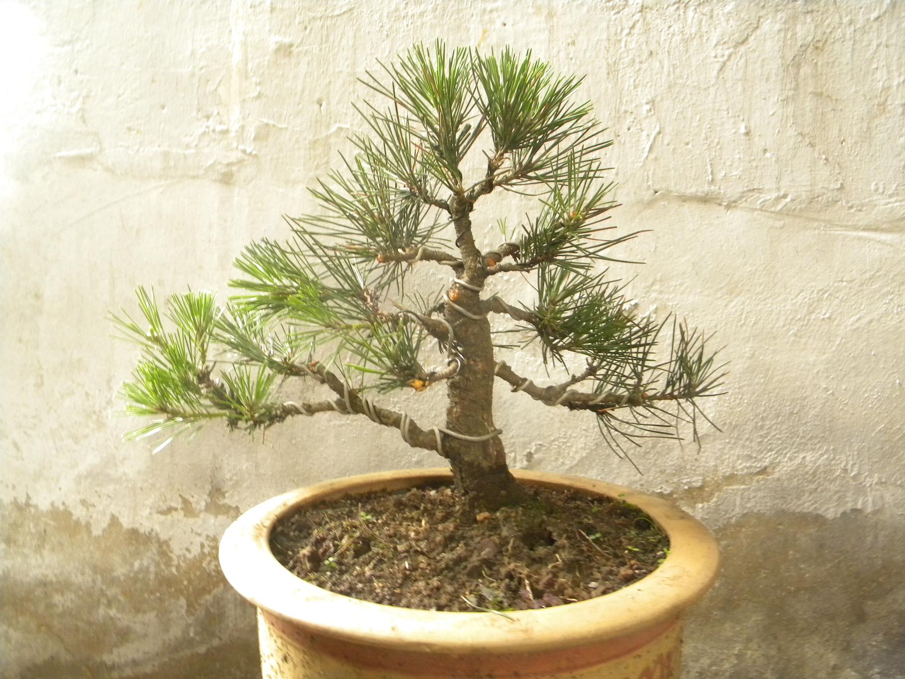 DSCN5469.JPG