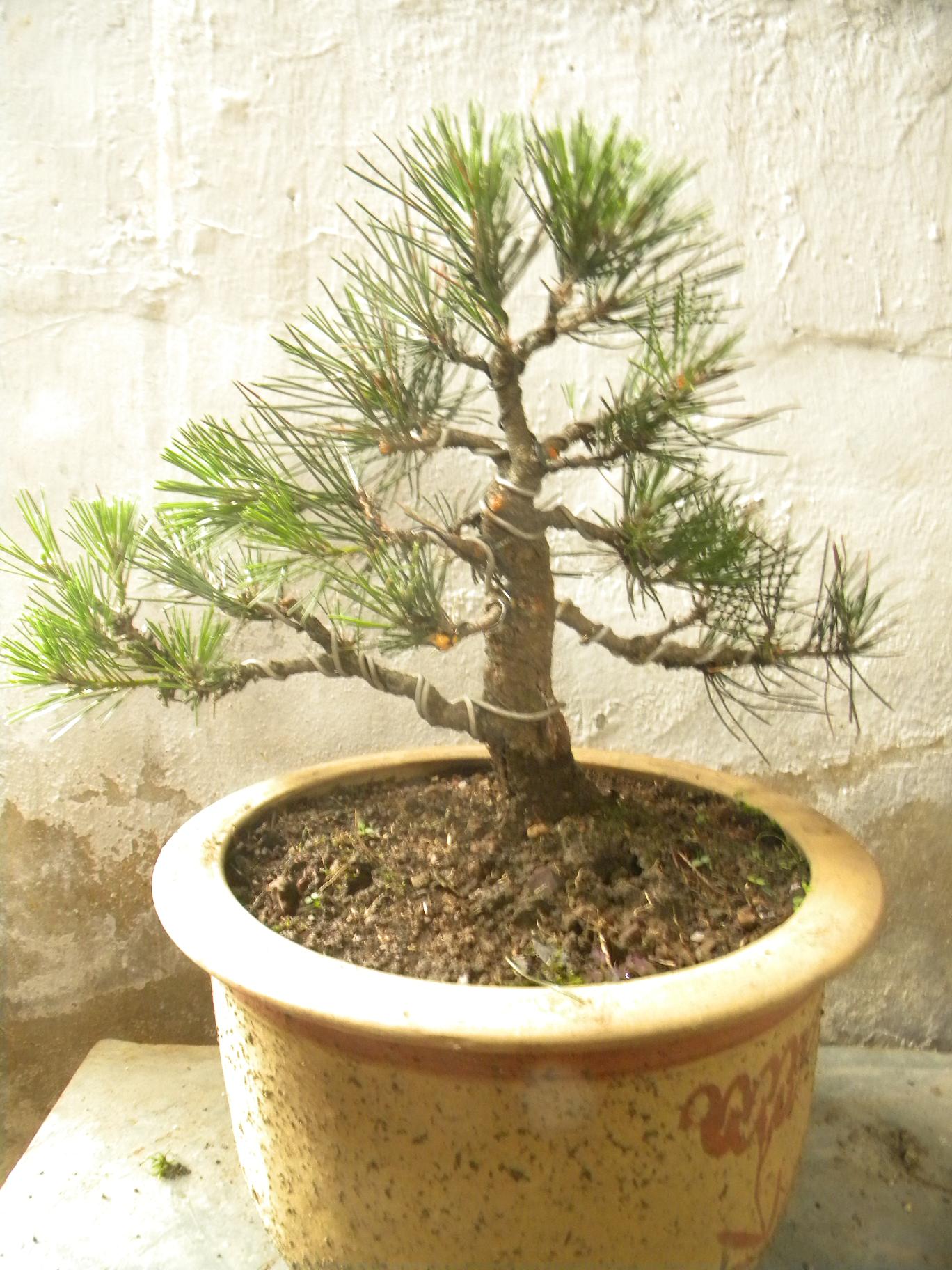 DSCN5470.JPG
