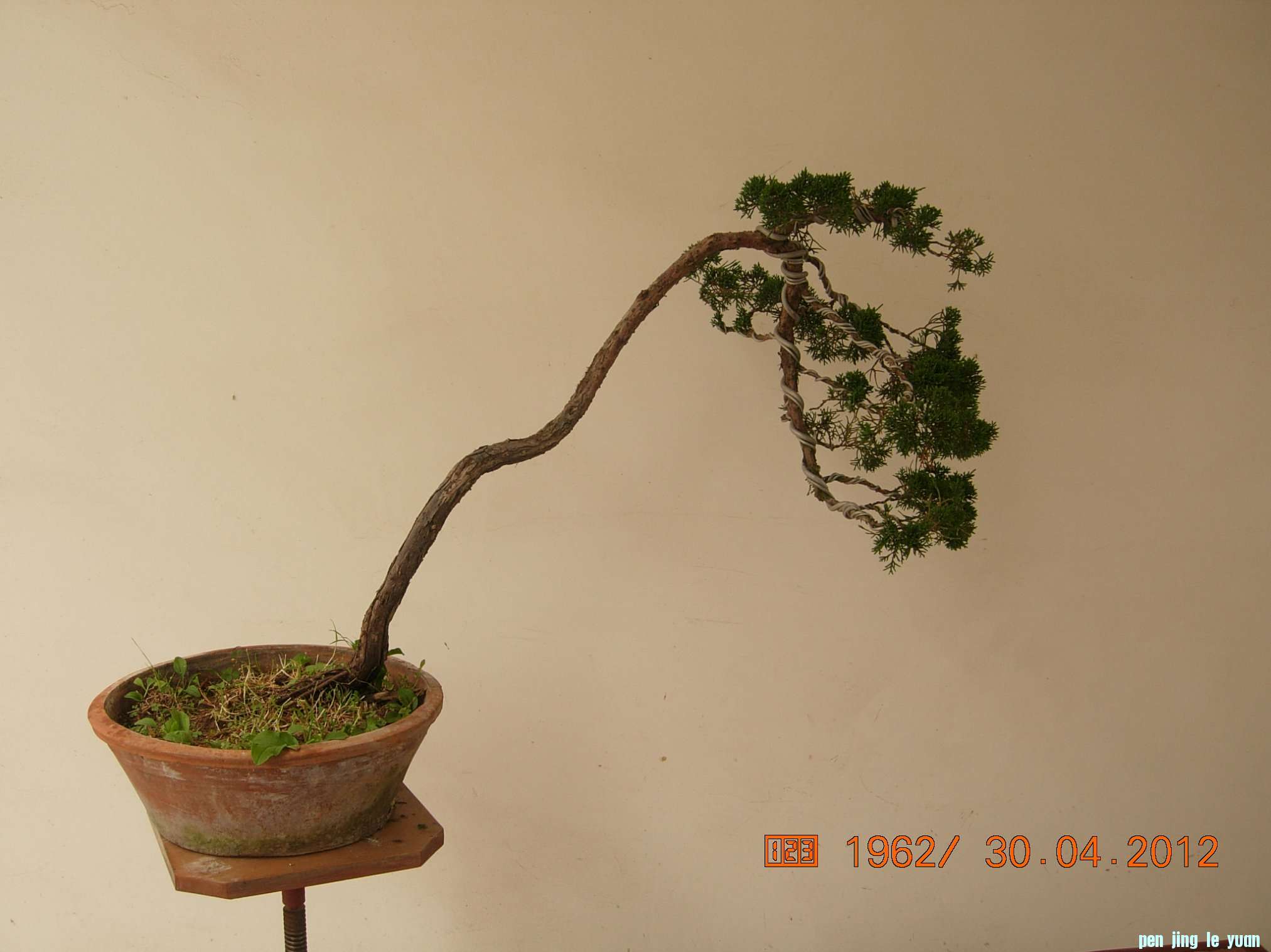 DSCN5885.JPG