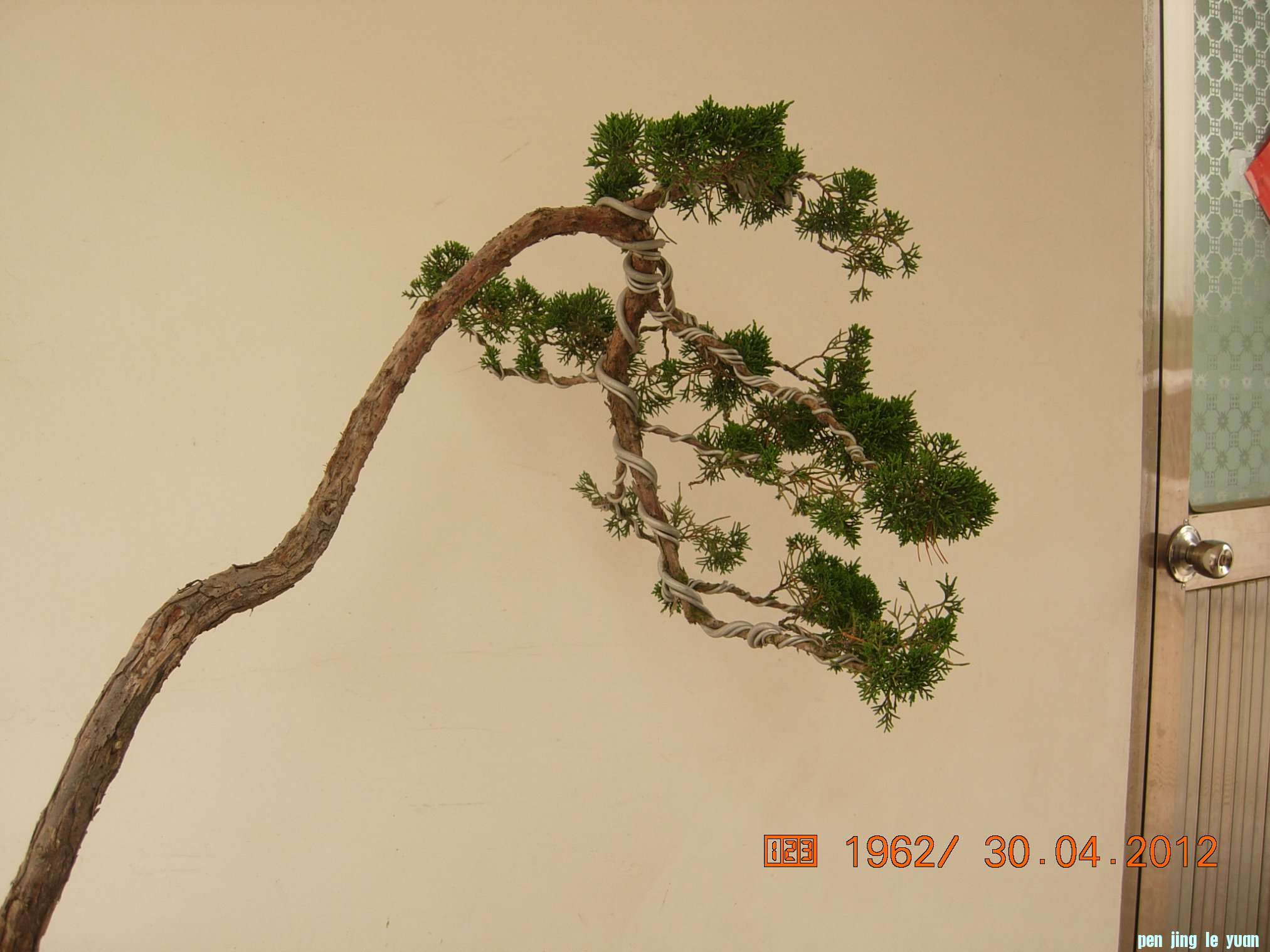 DSCN5886.JPG