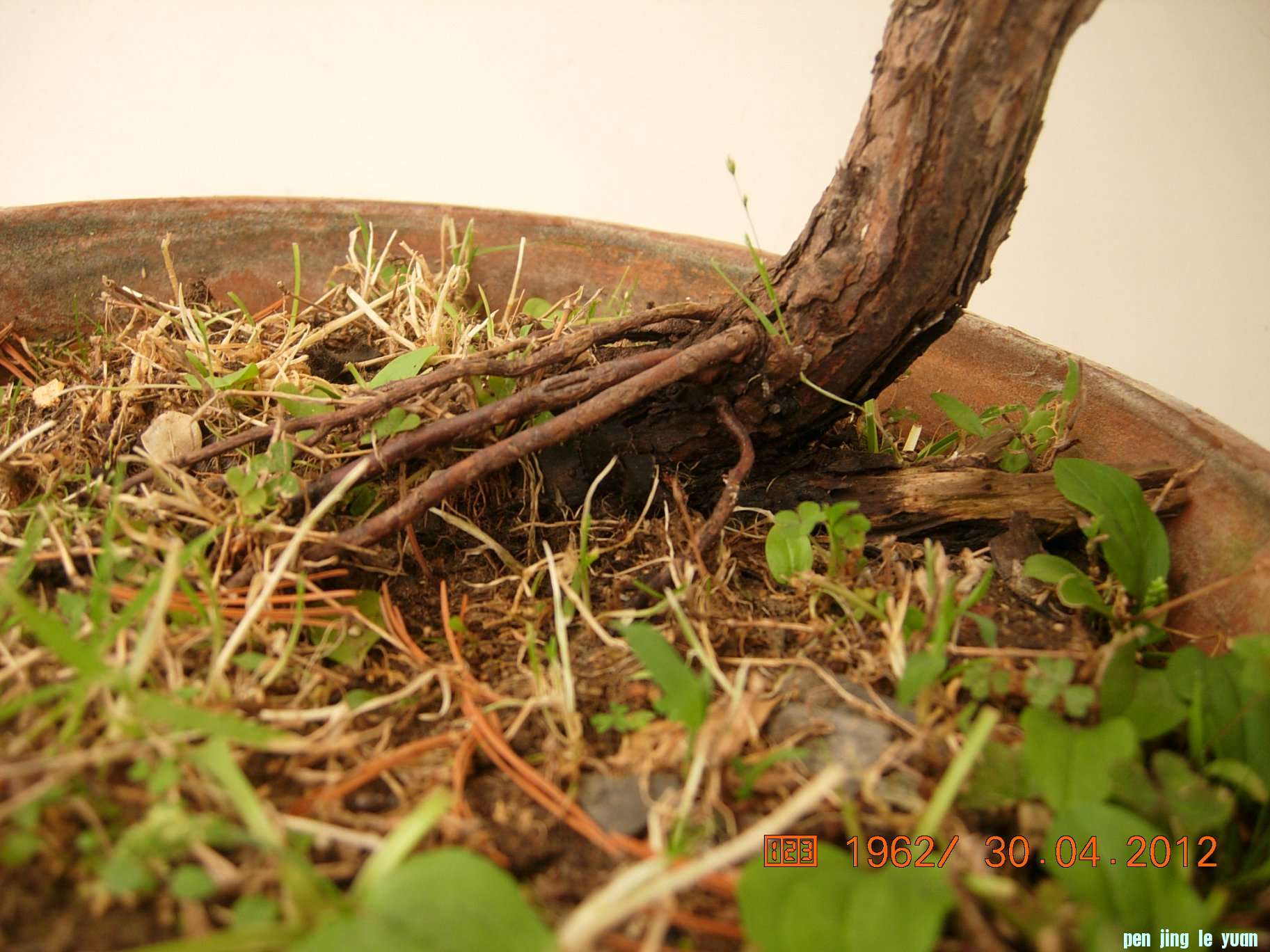 DSCN5889.JPG