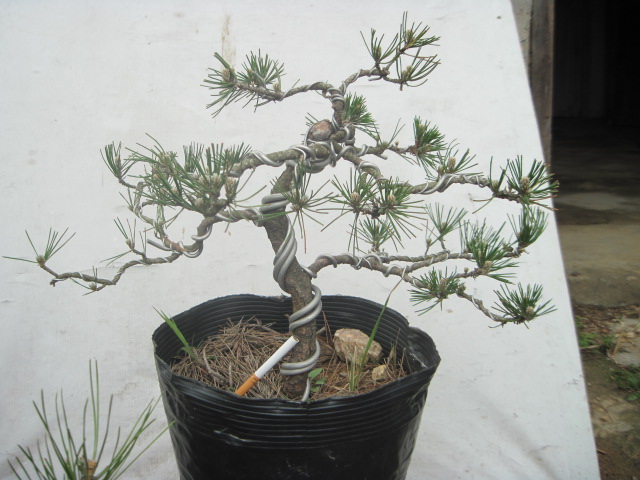 20120421ʢС 015.jpg