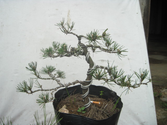 20120421ʢС 016.jpg