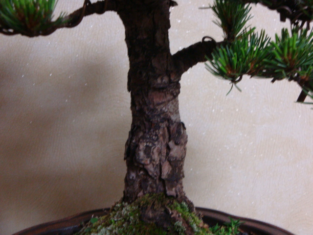 DSC09026.JPG