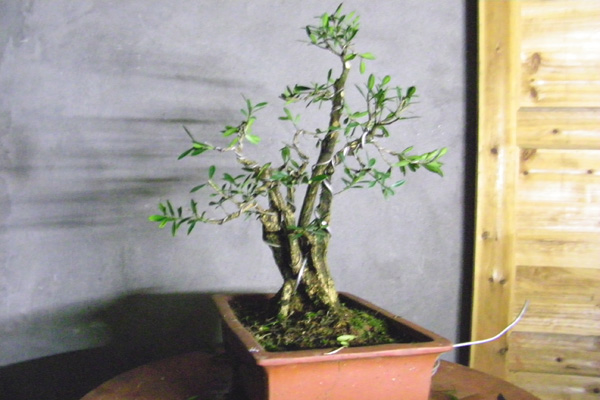 100_1683.jpg