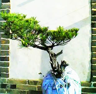 IMG0032A.jpg