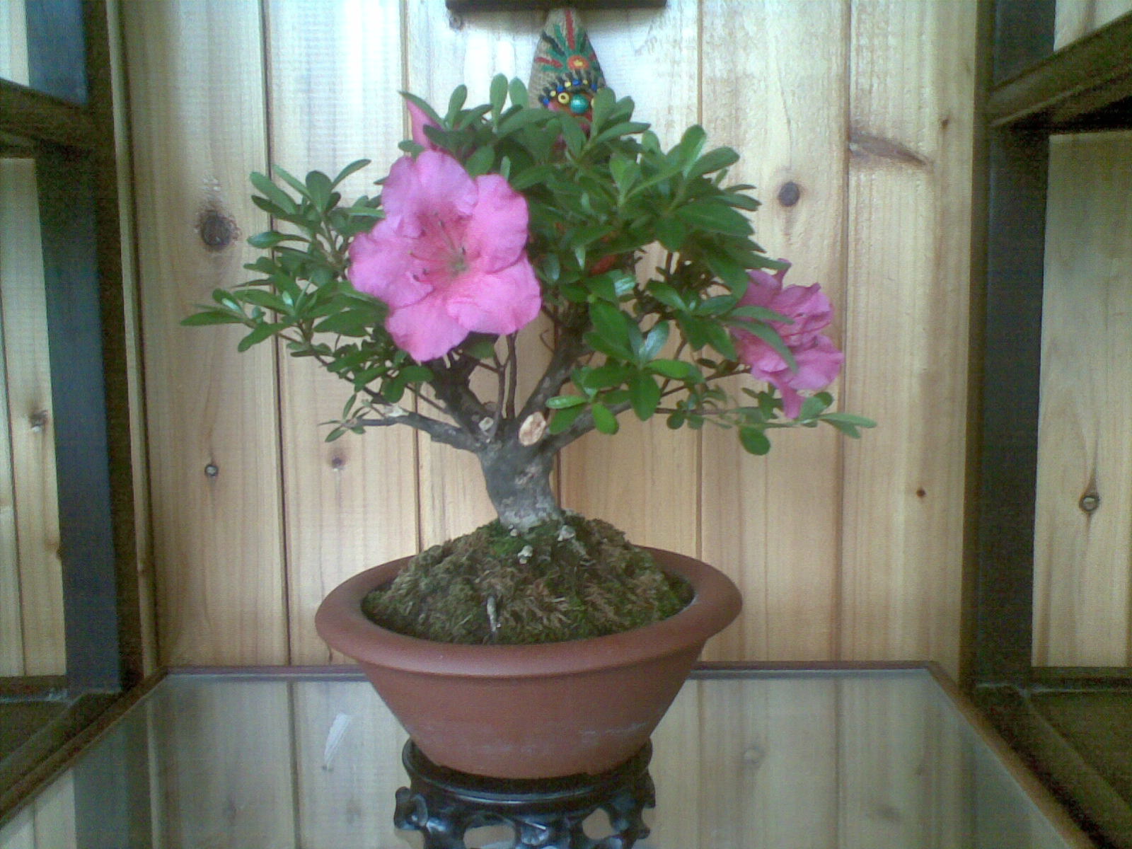 20120530.jpg